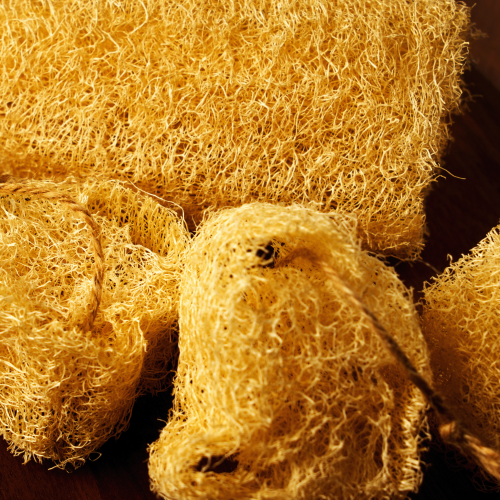 Luffa vegetal